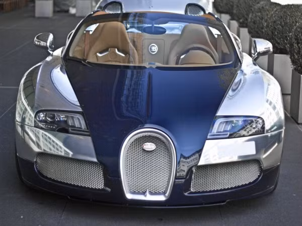 Nếu muốn thể hiện đẳng cấp, Veyron Sang Bleu là một sự lựa chọn vô cùng hoàn hảo. Nhưng thật khó khăn cho những ai có ý định sở hữu nó bởi đây là chiếc xe duy nhất trên thế giới.