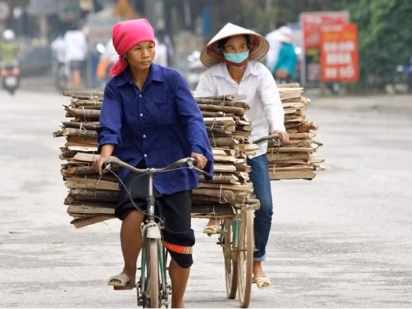 Hai người phụ nữ đang chở củi đem bán ở Nghĩa Lộ.