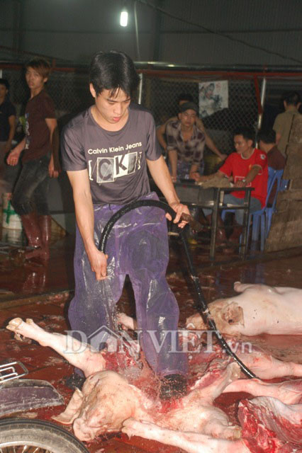 Lò giết mổ lợn rất mất vệ sinh giữa thủ đô Hà Nội. (Ảnh: Dân Việt) Lò giết mổ lợn rất mất vệ sinh giữa thủ đô Hà Nội. (Ảnh: Dân Việt)