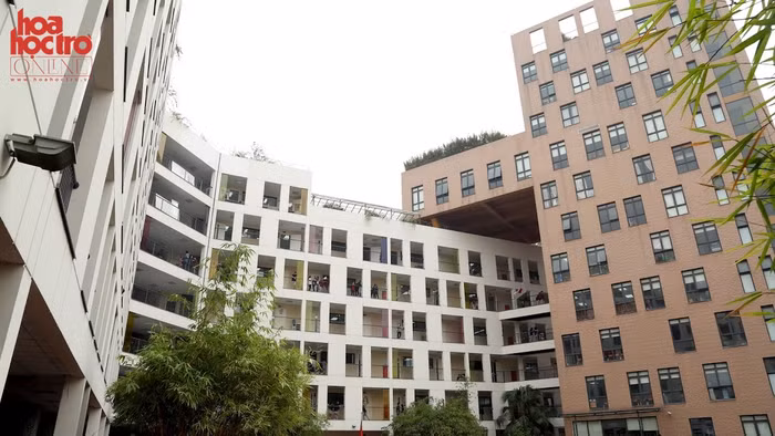 Quy định lạc hậu gây nguy hại cho chất lượng giáo dục