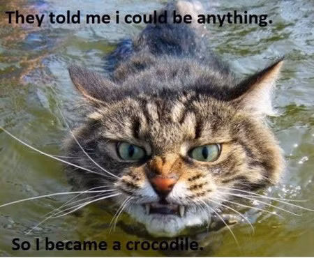 Tập bơi thành cá sấu chơi Ai ngờ suýt chết răng rơi tơi bời