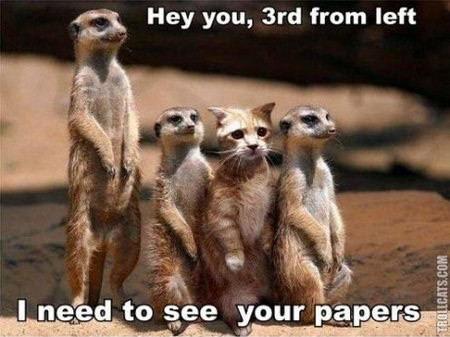 Nhà này mẹ góa con côi Lôi thôi chúng đánh thì tôi xong đời Nhà này mẹ góa con côi Lôi thôi chúng đánh thì tôi xong đời