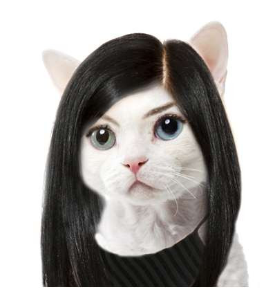 Tóc này chị ủ sunsilk Nhuộm thêm đen nữa cho nhìu người iu (yêu) Tóc này chị ủ sunsilk Nhuộm thêm đen nữa cho nhìu người iu (yêu)