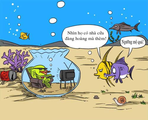 Ước mơ "nho nhỏ" của các loài sống dưới nước. Ước mơ "nho nhỏ" của các loài sống dưới nước.