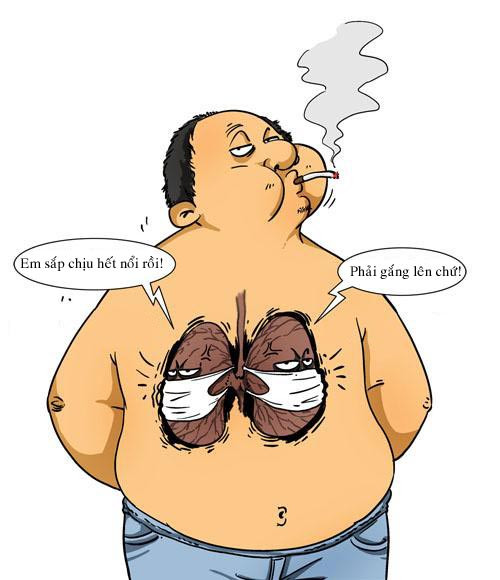 Không biết lá nào chết trước? Không biết lá nào chết trước?