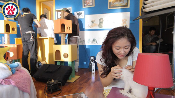 Em chịu khó ngồi đợi mấy anh kia tìm con chuột đồ chơi của em nhé, không biết nó chạy đâu mất rồi! Em chịu khó ngồi đợi mấy anh kia tìm con chuột đồ chơi của em nhé, không biết nó chạy đâu mất rồi!