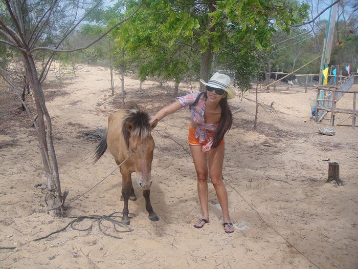 Con ngựa này chân không dài bằng mình rồi, hi hi! Con ngựa này chân không dài bằng mình rồi, hi hi!