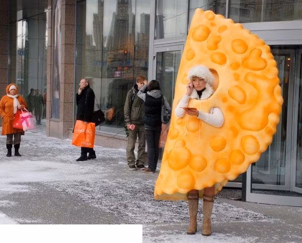 Chiếc áo này nhìn cũng ngon đấy nhi?