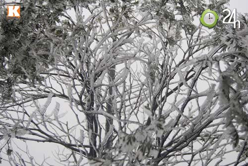 Nhiệt độ bất ngờ giảm sâu khiến nhiều nơi tại Lào Cai xuất hiện băng tuyết trong ngày 31/12 Nhiệt độ bất ngờ giảm sâu khiến nhiều nơi tại Lào Cai xuất hiện băng tuyết trong ngày 31/12