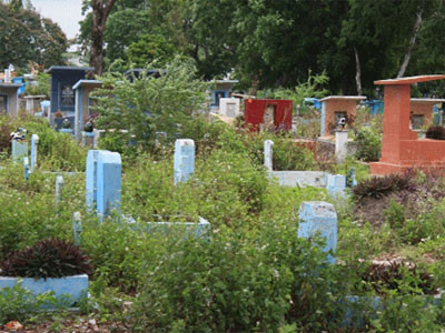 Buồn đời, vào nghĩa trang tự thiêu ảnh 1 Buồn đời, vào nghĩa trang tự thiêu ảnh 1