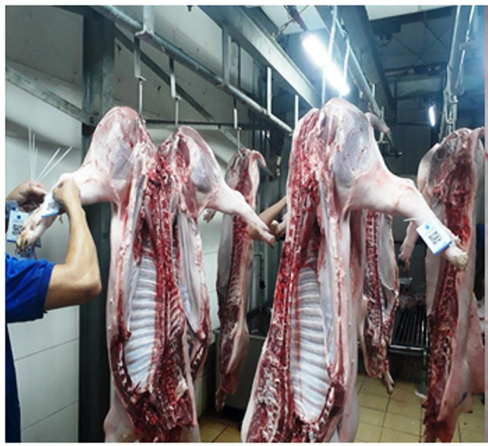 Đà Nẵng sẽ xây dựng phần mềm truy xuất nguồn gốc thực phẩm cho chuỗi sản xuất thịt - trứng. Ảnh: NTH Đà Nẵng sẽ xây dựng phần mềm truy xuất nguồn gốc thực phẩm cho chuỗi sản xuất thịt - trứng. Ảnh: NTH