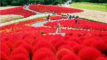 Du lịch Nhật Bản, không thể bỏ qua Cung đường kim cương ảnh 2 Du lịch Nhật Bản, không thể bỏ qua Cung đường kim cương ảnh 2