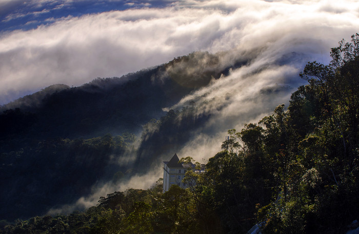 Bức tranh thủy mặc - Ảnh: Lê Hải Sơn