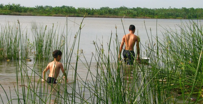 Cháu Đoàn Văn Hiếu, mới chỉ học lớp 3 nhưng cũng bắt đầu theo anh ra đầm tôm để mò ngao. Cháu Đoàn Văn Hiếu, mới chỉ học lớp 3 nhưng cũng bắt đầu theo anh ra đầm tôm để mò ngao.