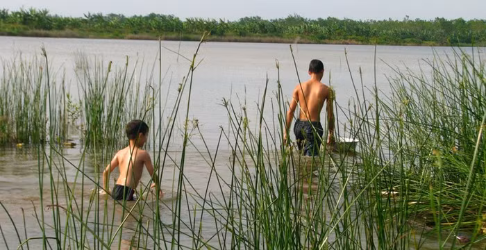 Cháu Đoàn Văn Hiếu, mới chỉ học lớp 3 nhưng cũng bắt đầu theo anh ra đầm tôm để mò ngao.