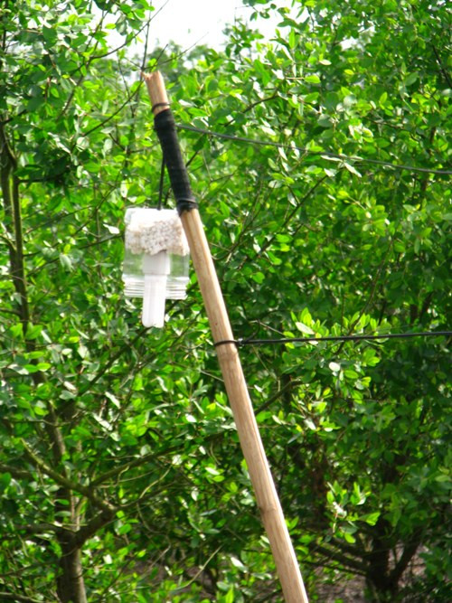 Và đèn đã được giăng khắp nơi xung quanh nhà. Và đèn đã được giăng khắp nơi xung quanh nhà.