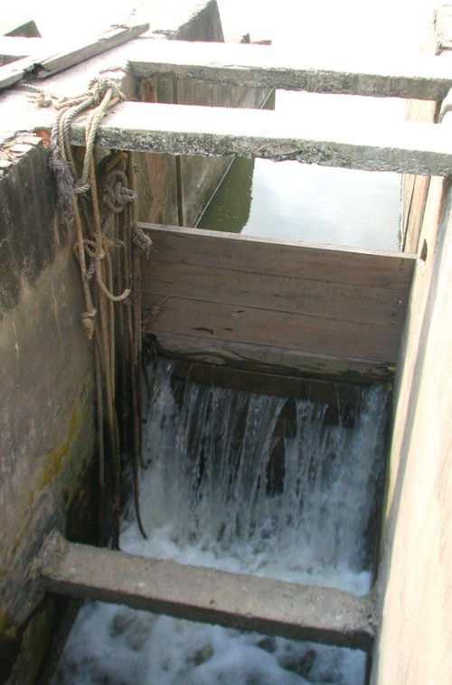 Đầm tôm nhà ông Vươn đã được thả thêm nhiều loài tôm cá mới. Cống đã được chắn để ngăn cá bơi ra ngoài biển. Đầm tôm nhà ông Vươn đã được thả thêm nhiều loài tôm cá mới. Cống đã được chắn để ngăn cá bơi ra ngoài biển.