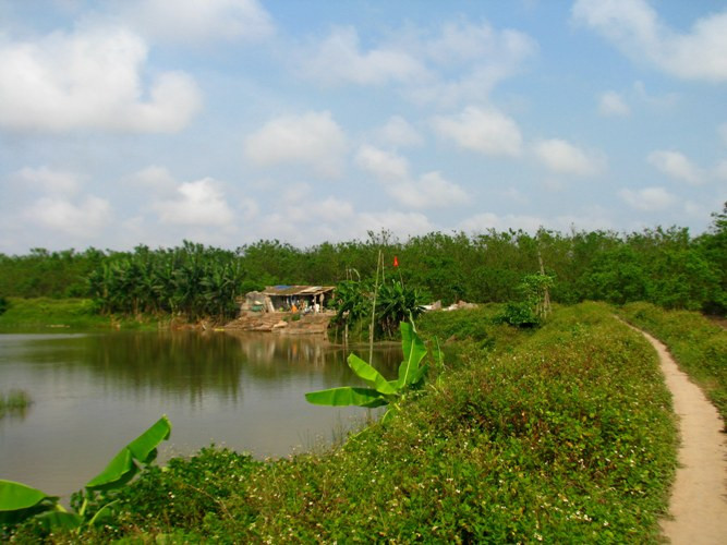 Nhìn từ xa, ngôi nhà tạm nhỏ bé, chênh vênh giữa khu đầm tôm. Nhìn từ xa, ngôi nhà tạm nhỏ bé, chênh vênh giữa khu đầm tôm.