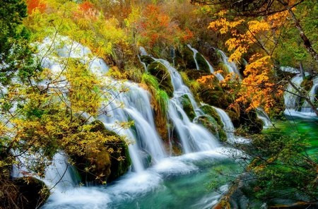 Đã thấy đông về trong gió thu ảnh 1 Đã thấy đông về trong gió thu ảnh 1