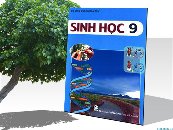 Năng lực khung thế kỷ 21 và chính sách cho chương trình đào tạo quốc gia (Bài 1) ảnh 2