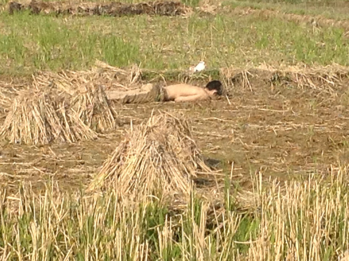 Xác chết nằm trong tư thế sấp mặt Xác chết nằm trong tư thế sấp mặt