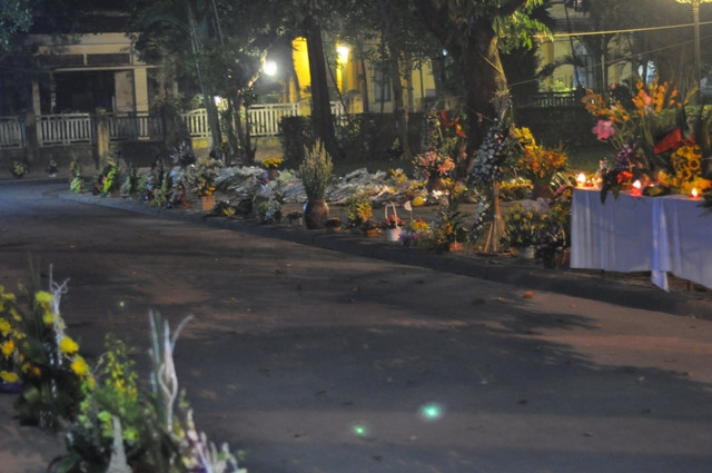 Đường đi trải đầy hoa