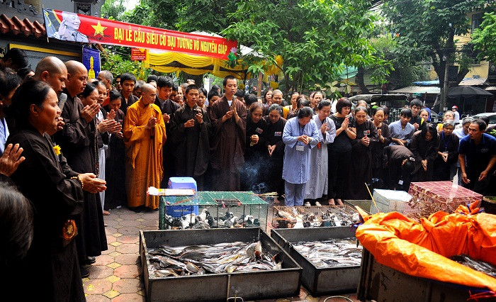 Cá, ốc… cũng được chuẩn bị làm lễ phóng sinh.