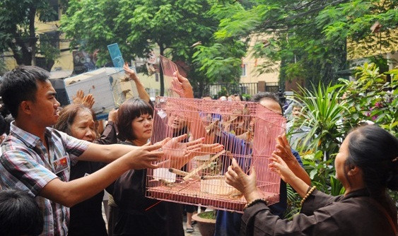 Trong đại lễ cầu siêu mọi người cùng nhau thả chim phóng sinh để tưởng nhớ công ơn của Đại tướng đối với mỗi người và cả dân tộc.