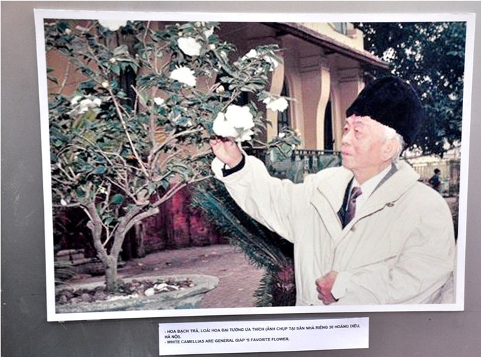 Đại tướng trong đời thường