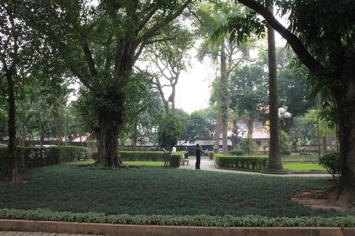 Một góc vườn trong nhà Đại tướng