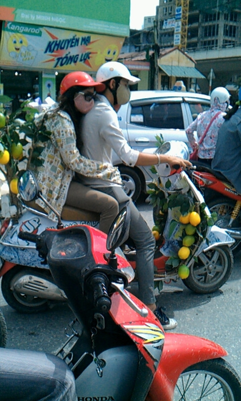 Yêu thiên nhiên quá mức??? Yêu thiên nhiên quá mức???