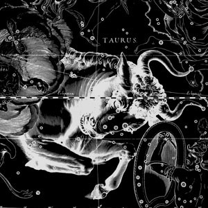 Kim Ngưu (20/4 - 20/5) Thường ngày bạn rất kiên quyết, nhưng hôm nay lại trở nên cố chấp và cứng nhắc bất chấp sự thật, cũng có thể Kim Ngưu đã để cho tình cảm chi phối lý trí. Tuy nhiên, ở một khía cạnh nào đó thì bạn hoàn toàn có thể linh hoạt điều chỉnh bản thân hơn, cuộc sống sẽ mang đến nhiều điều tốt đẹp nếu biết cố gắng.