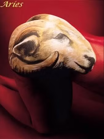 Bạch Dương (21/3 - 19/4) Ngày Chủ Nhật mang đến bầu không khí vui vẻ, đây là thời điểm tốt để họp mặt bạn bè hay quây quần bên gia đình. Bạch Dương rất xuất sắc trong công việc chuyên môn, nhưng khả năng giao tiếp xã hội thì cần phải có thời gian để rèn luyện. Vào cuối ngày, bạn nên bớt chút thời gian sắp xếp và đề ra kế hoạch cho tuần mới nữa nhé.