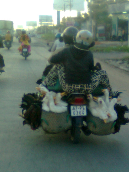 Chỉ cần chở một chuyến là "tất cả" có thể về nhà rồi! Chỉ cần chở một chuyến là "tất cả" có thể về nhà rồi!