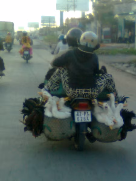 Chỉ cần chở một chuyến là "tất cả" có thể về nhà rồi!