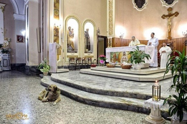 Chỉ khi nào buổi lễ kết thúc, Tommy mới rời đi.