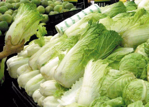 6. Dân TP.HCM sợ cải thảo chứa chất ướp xác Trước thông tin cải thảo tại Trung Quốc bị phát hiện nhiễm formaldehyde - chất gây ung thư, thường dùng để ướp xác, người dân TP.HCM sợ mua nhầm cải thảo của Trung Quốc vẫn thường nhập về Việt Nam. 6. Dân TP.HCM sợ cải thảo chứa chất ướp xác Trước thông tin cải thảo tại Trung Quốc bị phát hiện nhiễm formaldehyde - chất gây ung thư, thường dùng để ướp xác, người dân TP.HCM sợ mua nhầm cải thảo của Trung Quốc vẫn thường nhập về Việt Nam.