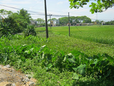 Địa điểm nơi hung thủ phi tang hung khí gây án Địa điểm nơi hung thủ phi tang hung khí gây án