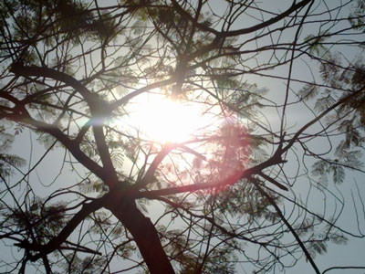 Ngày 12/5, nắng nóng sẽ lan rộng ra toàn bộ các tỉnh phía Tây Bắc Bộ, Bắc và Trung Trung Bộ