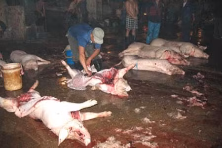 Ảnh minh họa Chieu nuot mat uong tiet lon song cua do te chuyen nghiep