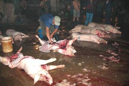 Ảnh minh họa Chieu nuot mat uong tiet lon song cua do te chuyen nghiep