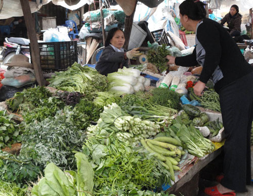 Truy tìm chất ướp xác trên cải thảo TQ, Tin tức trong ngày, cai thao trung quoc chua chat uop xac, chat uop xac, formaldehyde, rau cai thao, thuoc thit nguoi, trung quoc, an toan ve sinh thuc pham, bao, tin tuc, tin hot, tin hay