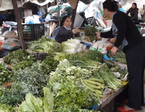 Truy tìm chất ướp xác trên cải thảo TQ, Tin tức trong ngày, cai thao trung quoc chua chat uop xac, chat uop xac, formaldehyde, rau cai thao, thuoc thit nguoi, trung quoc, an toan ve sinh thuc pham, bao, tin tuc, tin hot, tin hay