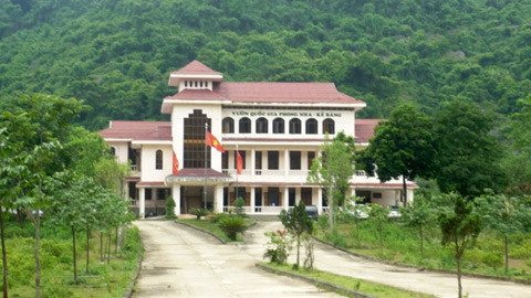 Vu sua nghin ty: Kiem lam phu nhan viec ��tiep tay�"