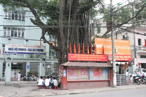 Chuyện chưa kể về cây đa sát nhà hộ sinh, Tin tức trong ngày,