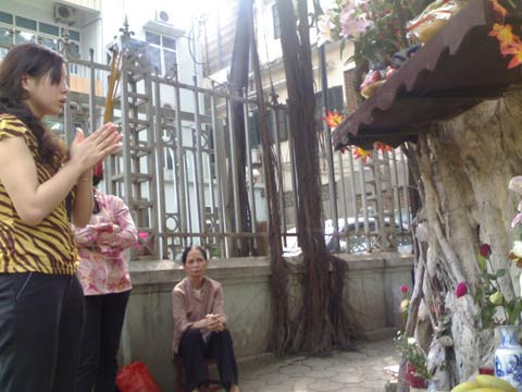 Chuyện chưa kể về cây đa sát nhà hộ sinh, Tin tức trong ngày,