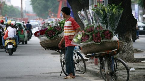 Hình ảnh đẹp của những chiếc xe đạp chở hoa bởi những phụ nữ đội nón lá từ lâu đã trở thành quen thuộc đang được thêm vào bởi những người đàn ông tần tảo và không kém phần khéo léo. Hình ảnh đẹp của những chiếc xe đạp chở hoa bởi những phụ nữ đội nón lá từ lâu đã trở thành quen thuộc đang được thêm vào bởi những người đàn ông tần tảo và không kém phần khéo léo.