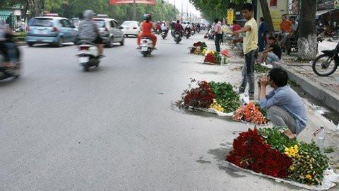 Đa dạng các loại hoa được bày bán tràn lan trên vỉa hè, dưới lòng đường. Người bán một số ít là phụ nữ còn phần lớn là các nam thanh niên đến từ những vùng trồng hoa ven Thủ đô như Tây Tựu, Mê Linh… Đa dạng các loại hoa được bày bán tràn lan trên vỉa hè, dưới lòng đường. Người bán một số ít là phụ nữ còn phần lớn là các nam thanh niên đến từ những vùng trồng hoa ven Thủ đô như Tây Tựu, Mê Linh…