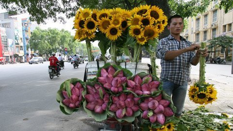 Bày biện hoa trên chiếc xe máy sao cho đẹp là yếu tố để hút khách. Bày biện hoa trên chiếc xe máy sao cho đẹp là yếu tố để hút khách.