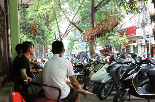 Vợt châu chấu, hốt bạc 60 triệu đồng/tháng ảnh 2 Vợt châu chấu, hốt bạc 60 triệu đ/tháng, Tin tức trong ngày, nghe vot chau chau, chau chau,chim canh ,chim, mua chau chau, moi chim